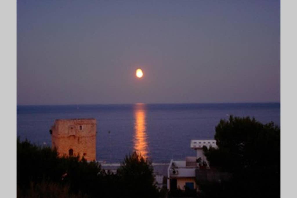 Appartamentino In Villa Antica Marina Serra Exterior photo